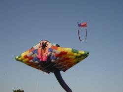 <p>M Ray, US Flag, Sacramento. 1</p>