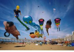 <p>Scheveningen Big Kite Photo</p>