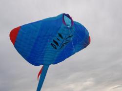 <p>Pearl, first flight </p>