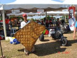 <p>Leaf kite, Brunei- PG '07</p>