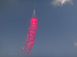 <p>57.1 SS Octopus, Wakanui,  1May '15 1</p>