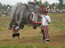 <p>5.1 Boar, Bali '07 1</p>