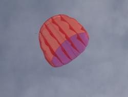 <p>1Skin 77 with uncoated fabric rear section</p>