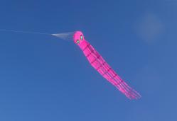 <p>20m single skin Octopus with aeolian bridle, stable to 70km</p>