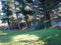 <p>28.6 Kiteboats under the trees</p>