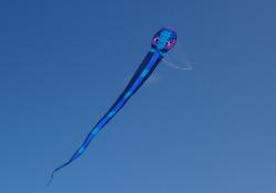 <p>58.2 60m Al Farsi Serpent, St Annes 2</p>