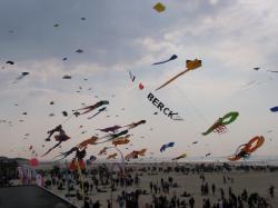 <p>34.1 Berck '11 6</p>