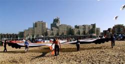 <p>16. Stork at Scheveningen '09, Frans Schmit 3</p>