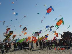 <p>32.1 Berck 07, 20</p>