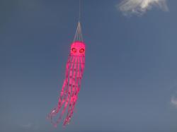<p>9m x 1.6m SS Octopus, 1May '15 em</p>
