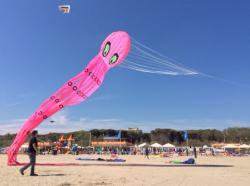 <p>57.2  20m single skin Octopus at Cervia '17</p>
