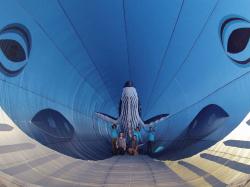 <p>55.2 Whale inside the whale em</p>