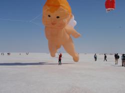 <p>Elly and Cherub at Kutch salt pan 2011</p>