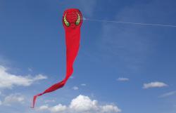 <p>60m SSSL Serpent, stable to 70km per hr plus</p>