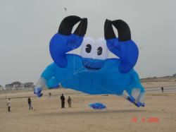 <p>53.1 Crab at Houlgate 3</p>
