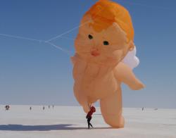 <p>38.4 Elly and Cherub at Kutch salt pan 4</p>