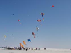 <p>38.3 Flying kites on the Kutch salt pan, North India '11</p>