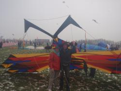 <p>15. Dragonfly Weifang , Elwyn, Peter 3</p>