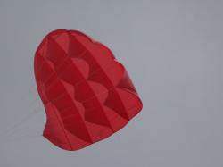 <p>Singer, 2.25 sq.m single skin pilotkite</p>