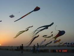 <p>Qatar at sunset </p>