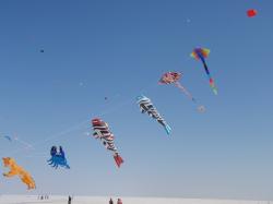 <p>Kutch salt pan 2011 </p>