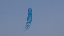 <p>20m SS Octopus, Chengdu March '16</p>