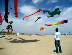 <p>Valencia '08 by Marta</p>