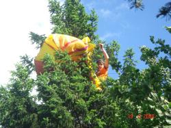 <p>Andreas Fischbacher up tree at Andalo 2008</p>